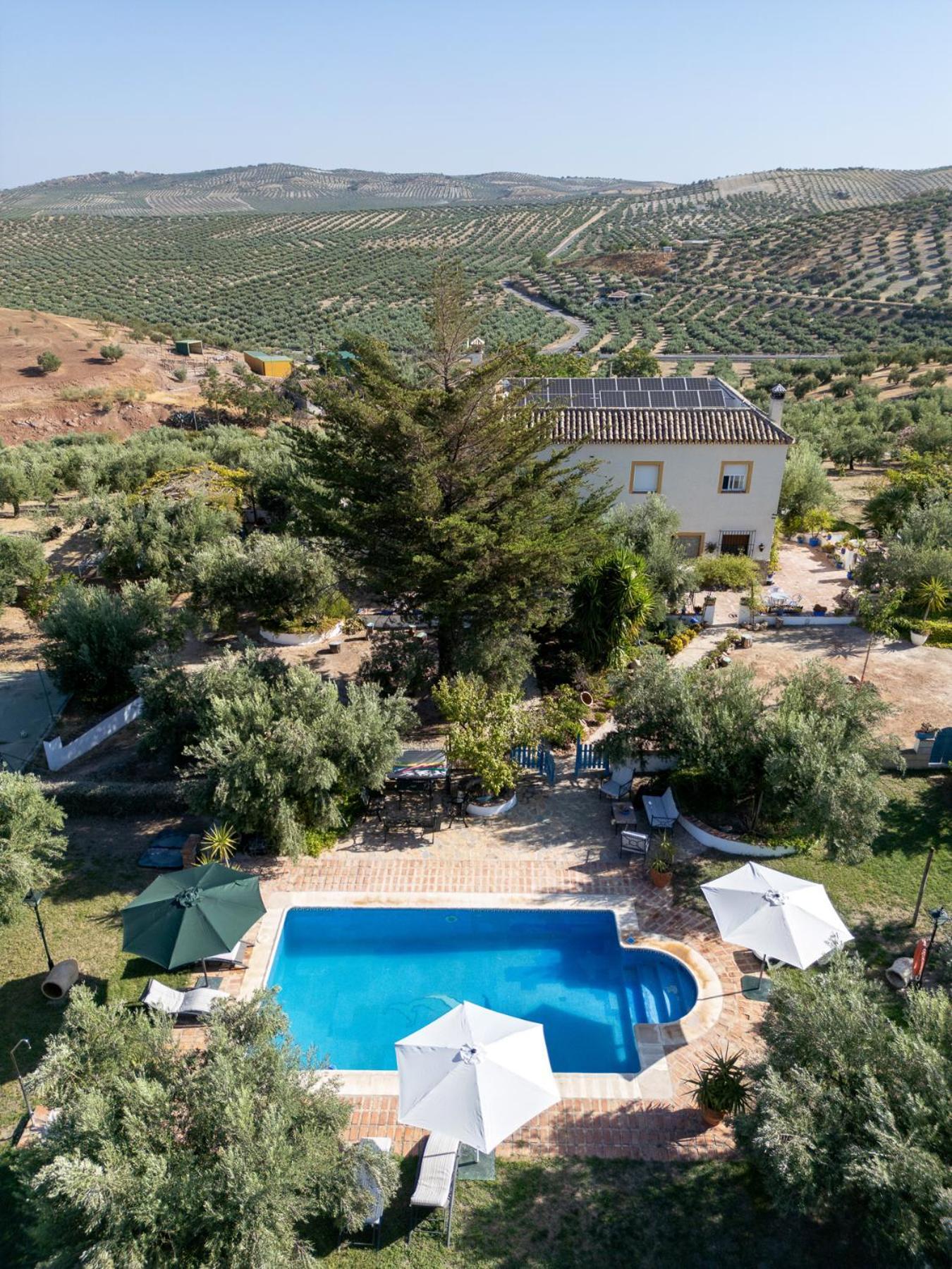 Agroturismo Ecologico El Cortijillo Luque Ngoại thất bức ảnh