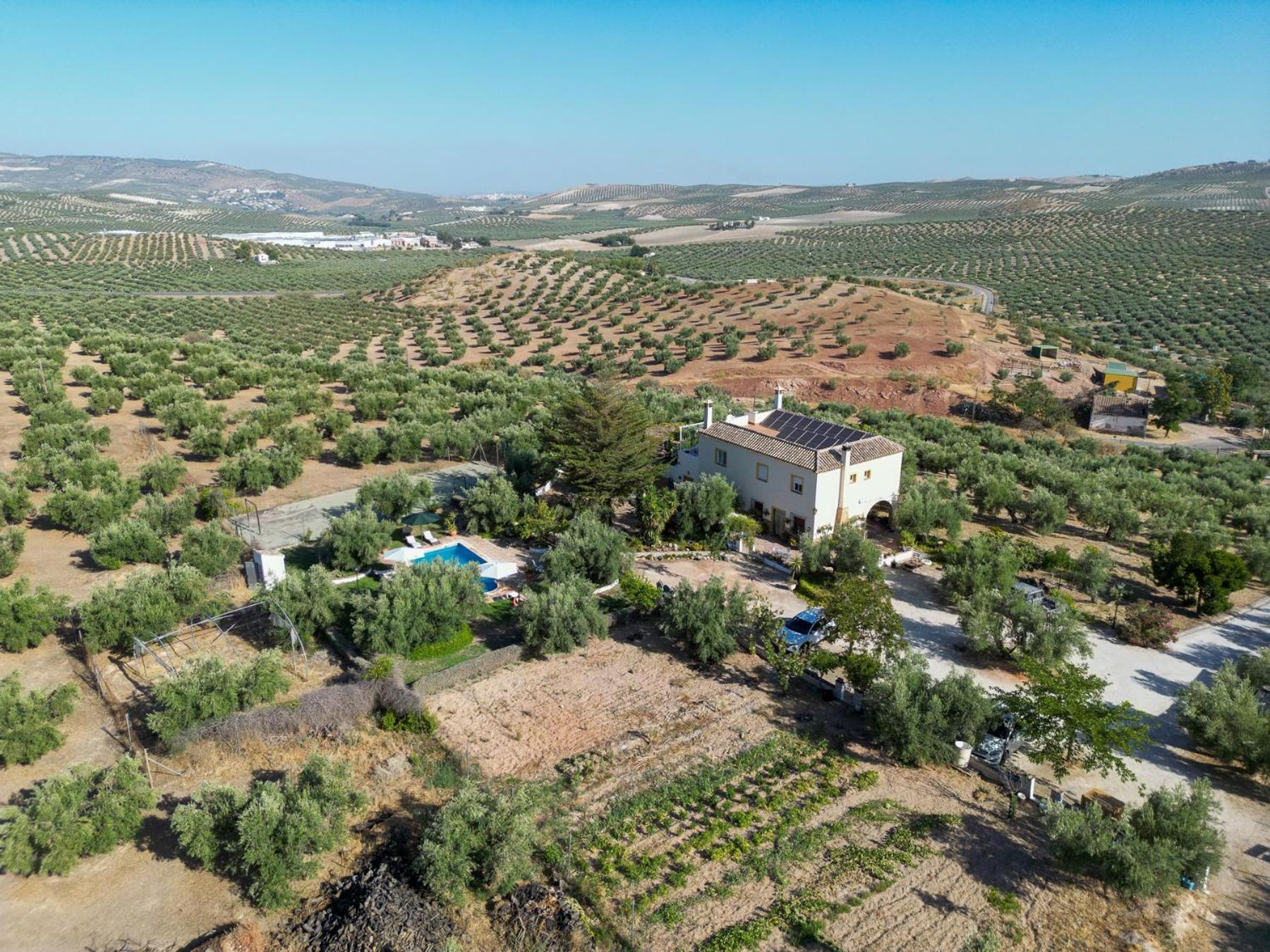 Agroturismo Ecologico El Cortijillo Luque Ngoại thất bức ảnh