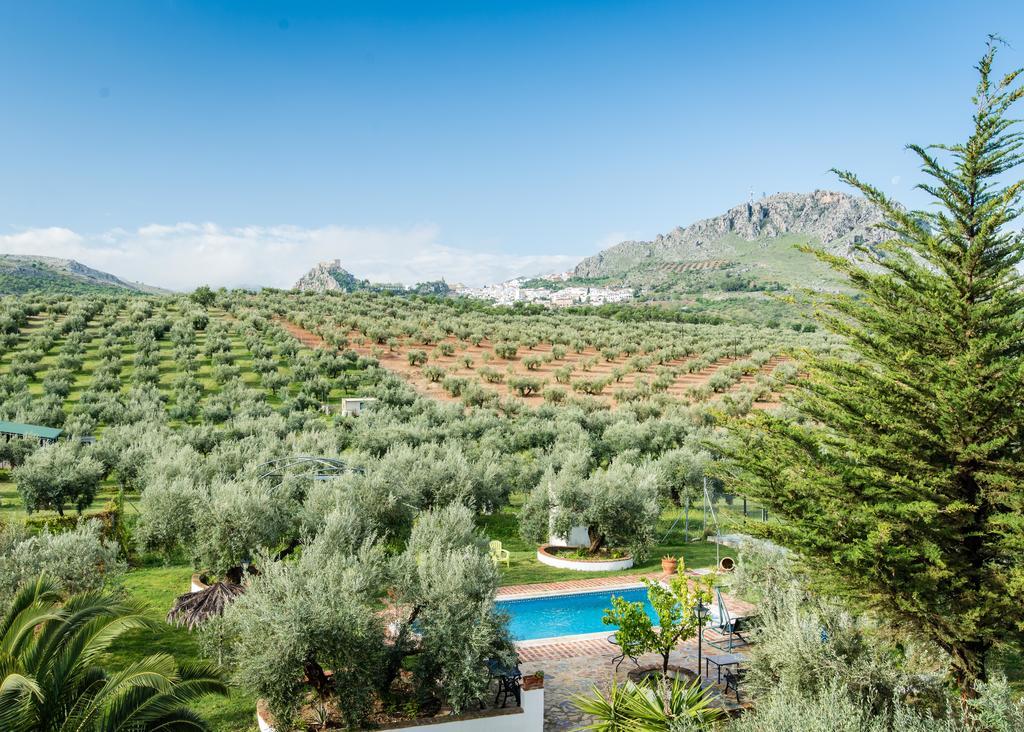Agroturismo Ecologico El Cortijillo Luque Ngoại thất bức ảnh
